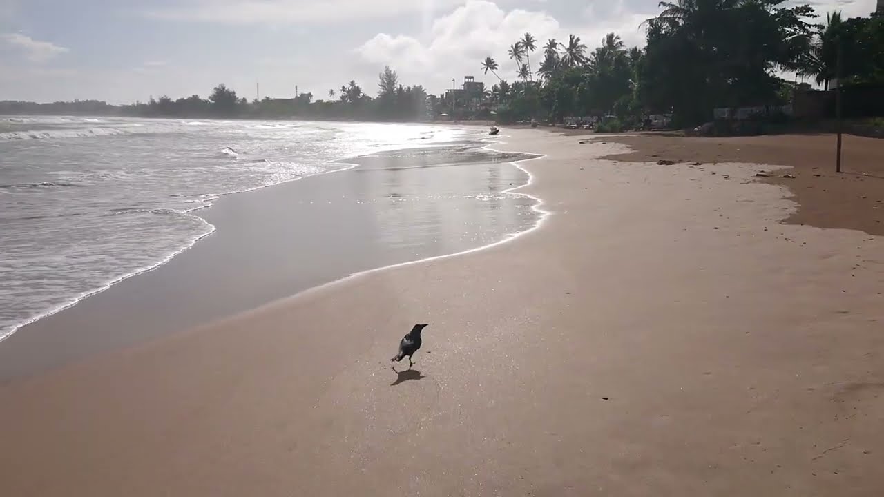 Walked along a beautiful beach Weligama, Sri Lanka. Beach walking tour.