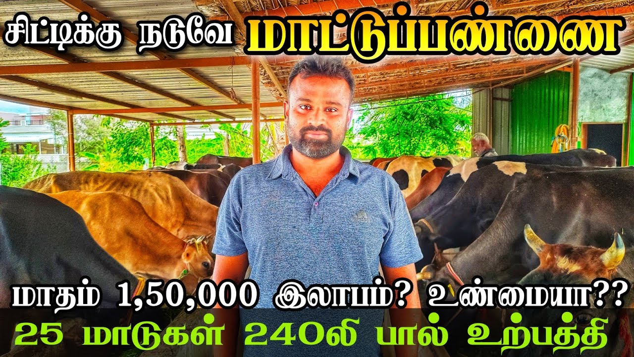 மாட்டுப்பண்ணையில் ஜெயித்த IT ஊழியர் | மாத வருமானம் 1,50,000₹ | சிட்டிக்கு நடுவே பண்ணை | Cow Farming