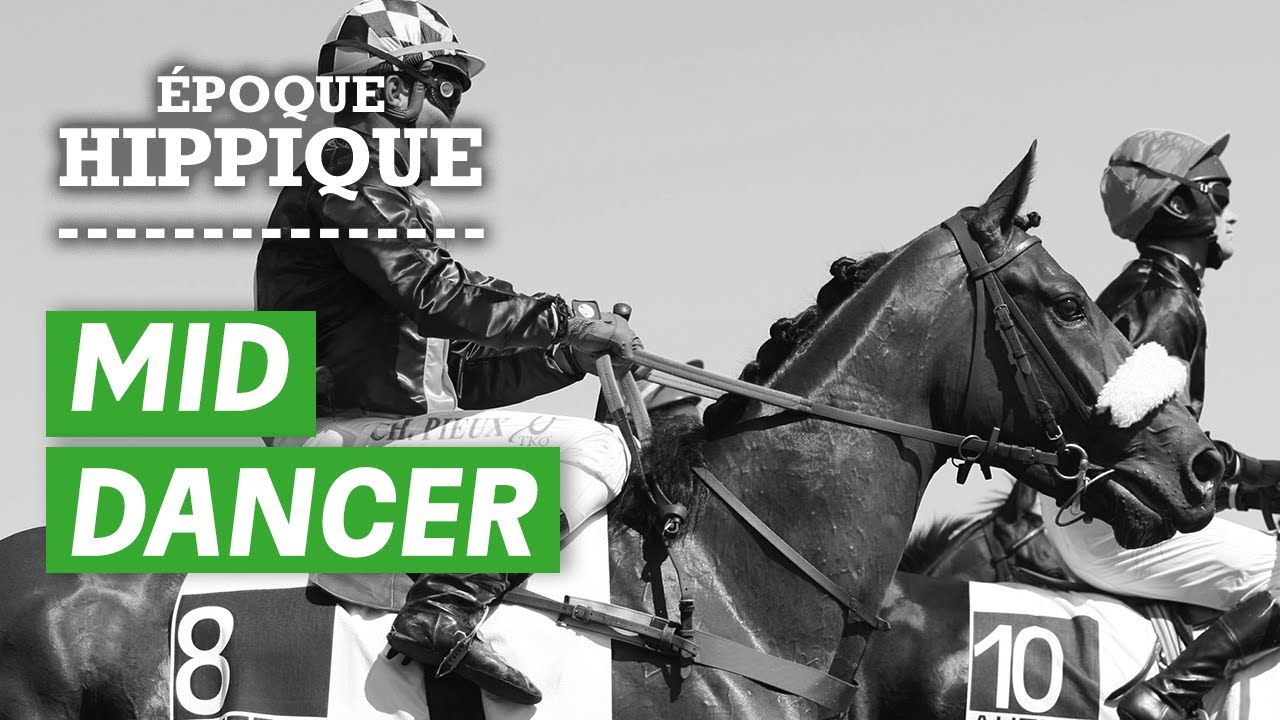 Mid Dancer, une légende de l'Obstacle aux trois Grand Steeple-Chase de Paris I PMU