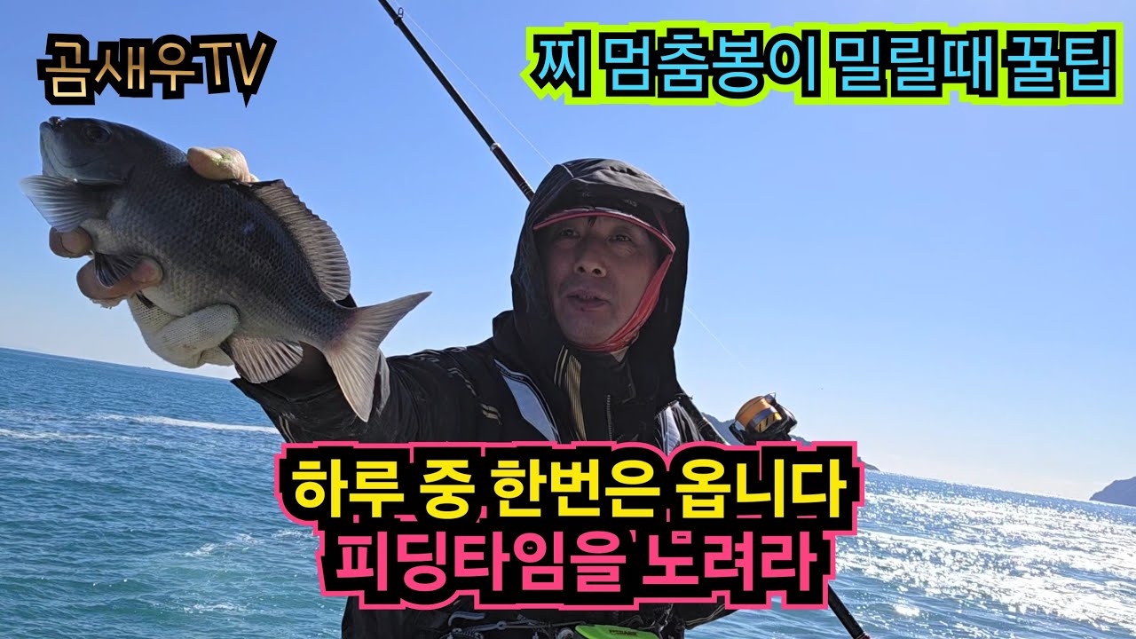 하루 한번은 찾아 옵니다. 피딩타임을 노려라 !!  찌멈춤봉이 자꾸 밀린다구요? 이렇게 해 보세요  2월의 벵에돔 낚시