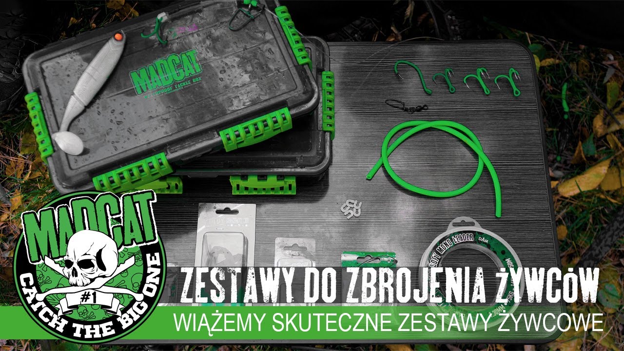 💚🖤🎣 zestawy do łowienia na żywca - jak i kiedy stosować oraz jak je przygotować?  - Poradnik #MADCAT