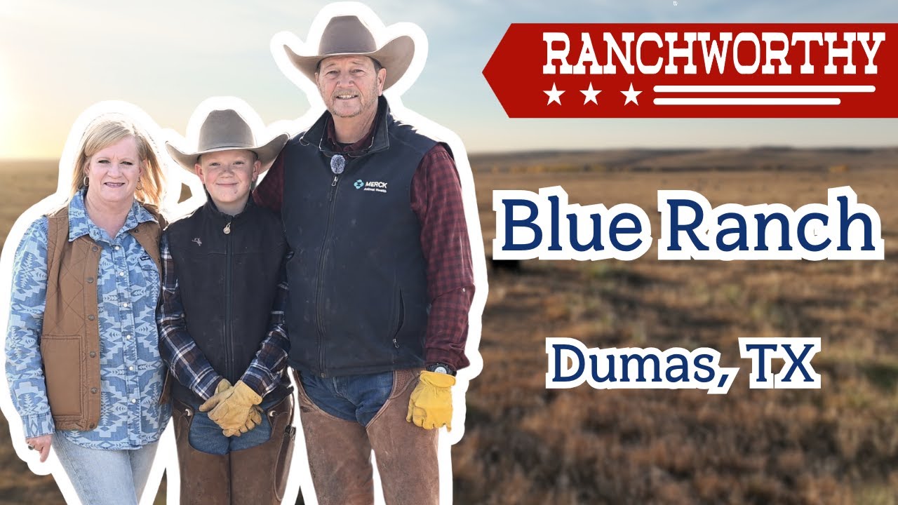 Эпизод 13 | Восстановление ранчо: история возрождения Blue Ranch в Техасском выступе