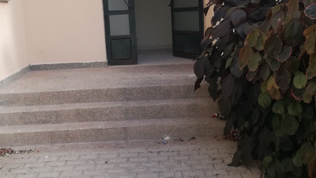 تباعة