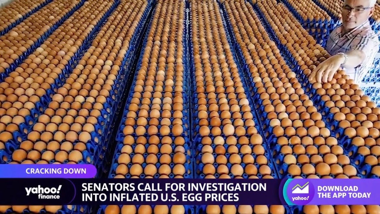 Senators call for investigation into elevated U.S. egg prices