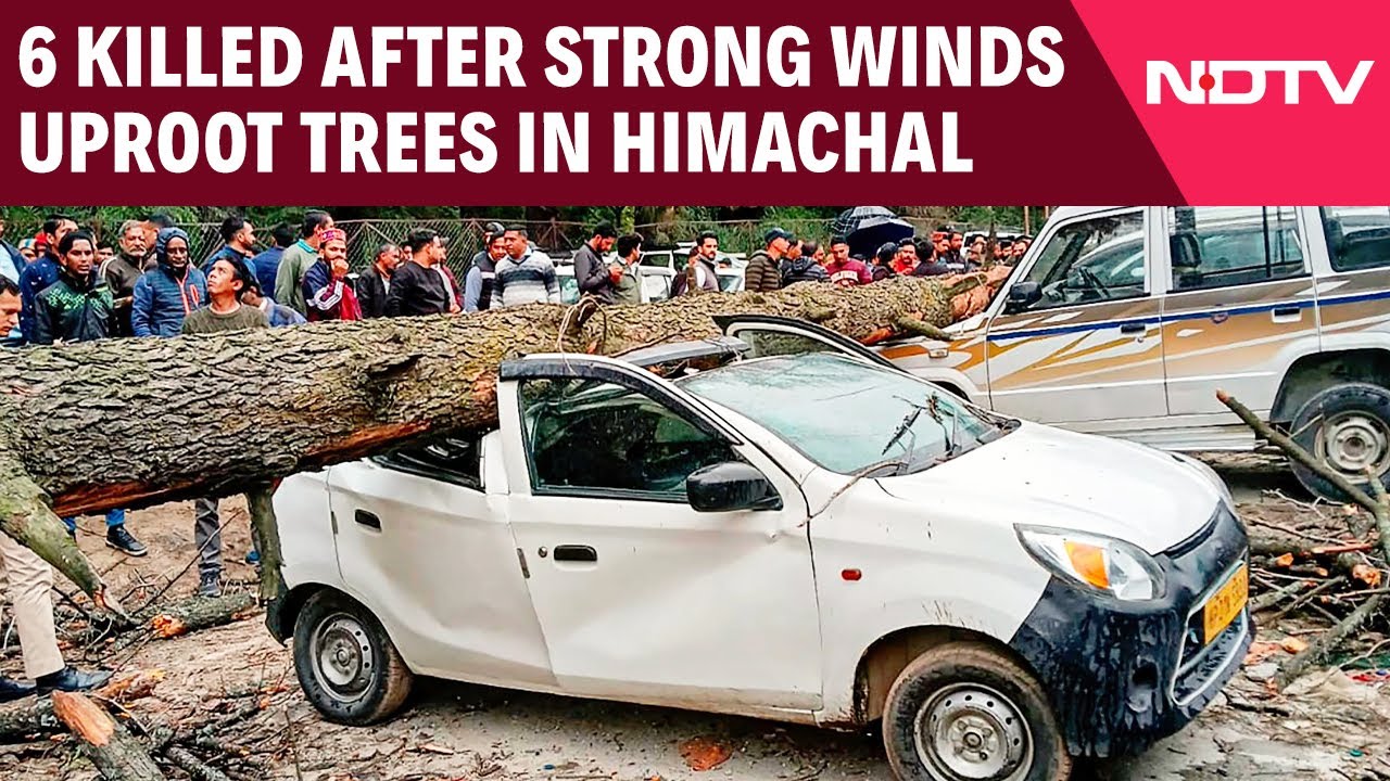 Himachal Pradesh News | 6 Killed After Strong Winds Uproot Trees In Himachal Tourist Area