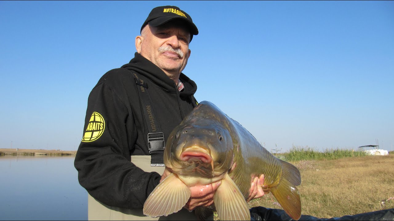 Просянка (Разлив)...Nutrabaits...Снова неуловимый Добрыня...