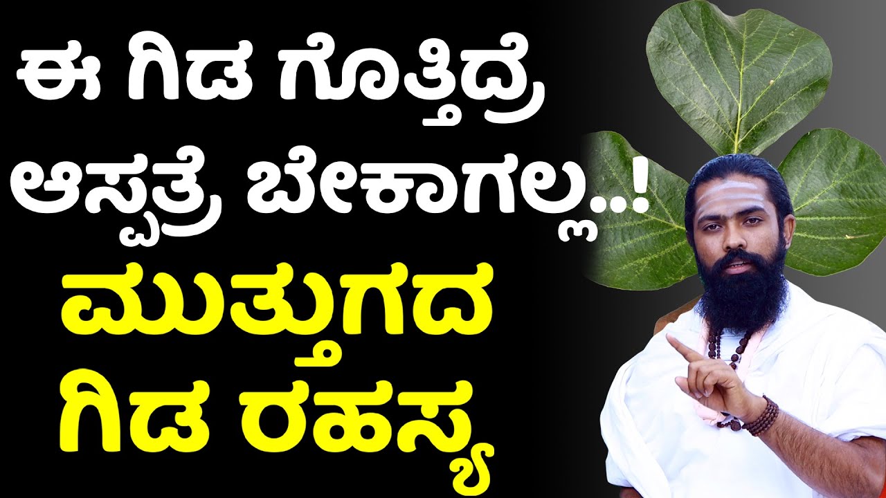 ಈ ಪ್ರಯೋಗ 8 ದಿನ ಮಾಡಿದ್ರೆ ಹೊಟ್ಟೆ ಕ್ಲೀನ್ | ಮುತ್ತುಗದ ಗಿಡ ರಹಸ್ಯ | Palash or Muttugada Tree in Kannada