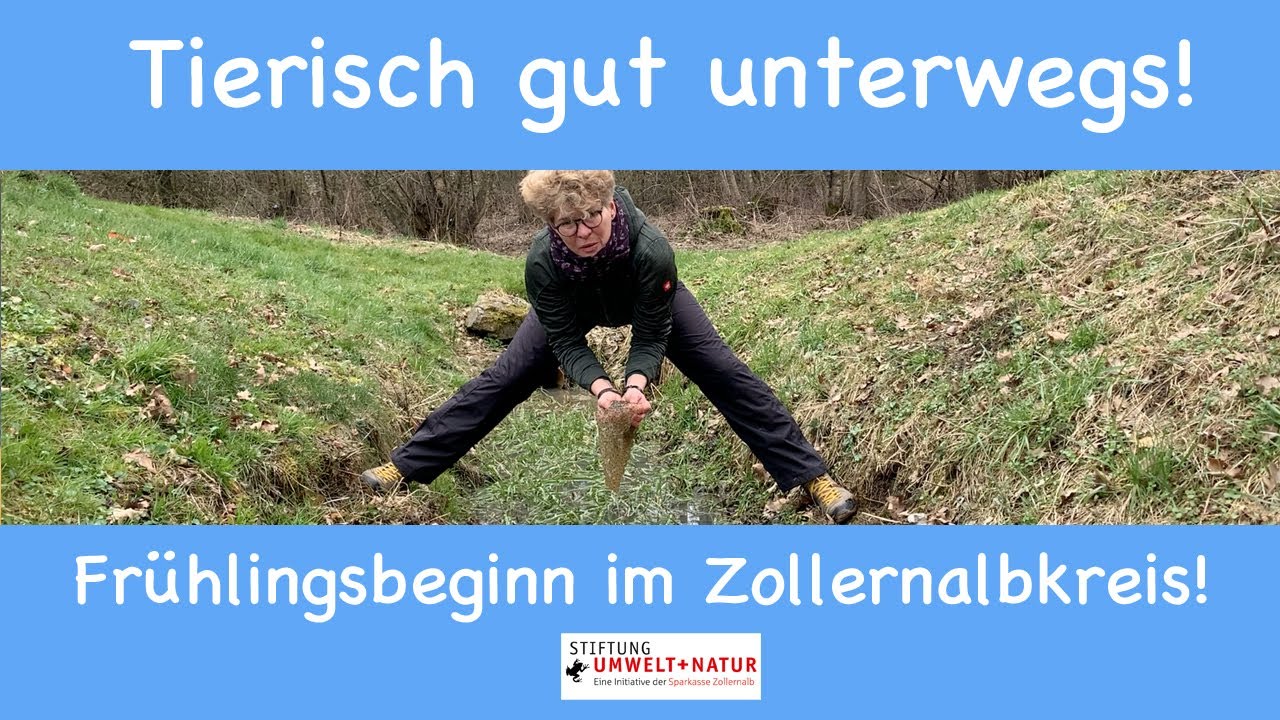 Tierisch gut unterwegs! - Fr&uuml;hlingsbeginn im Zollernalbkreis!