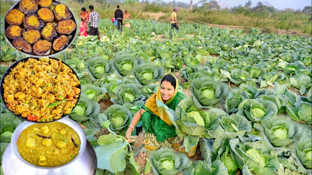 বাগানের শীতের সব্জী দিয়ে খিচুড়ি রান্না সাথে বাঁধাকপির ঘন্ট আর বেগুন ভাজা || khichuri recipe
