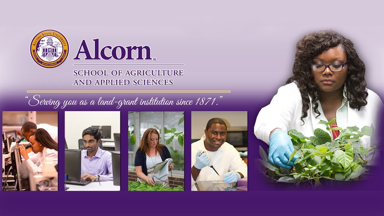Youth In AG - Wingfield High School