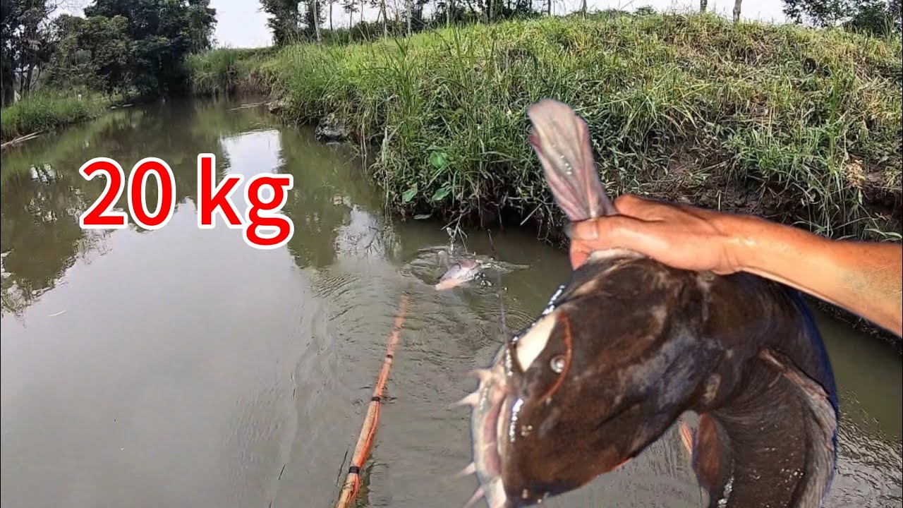 6h sáng vượt thác NƯỚC LŨ  Chích Cá 20 kg Dưới Sương Mù | XA QUÊ VLOG 