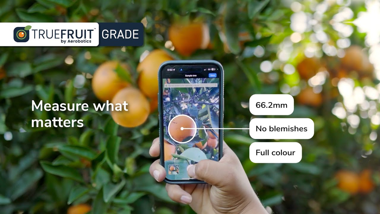 TrueFruit Grade: Smarter Fruit Size and Quality Measurement