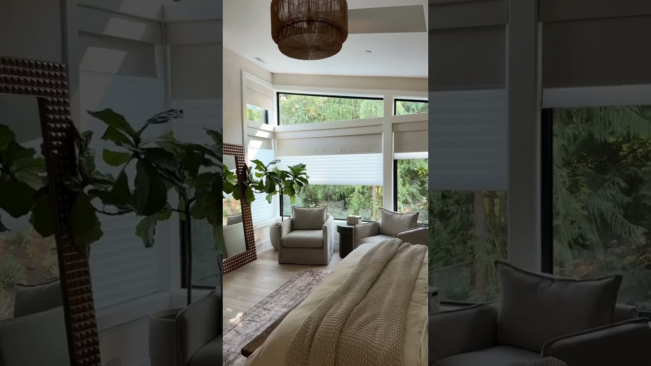 Amazon Motorized Dual Shades Smart Blinds Blackout Roller Shades #shorts #amazonfinds #amazonhome