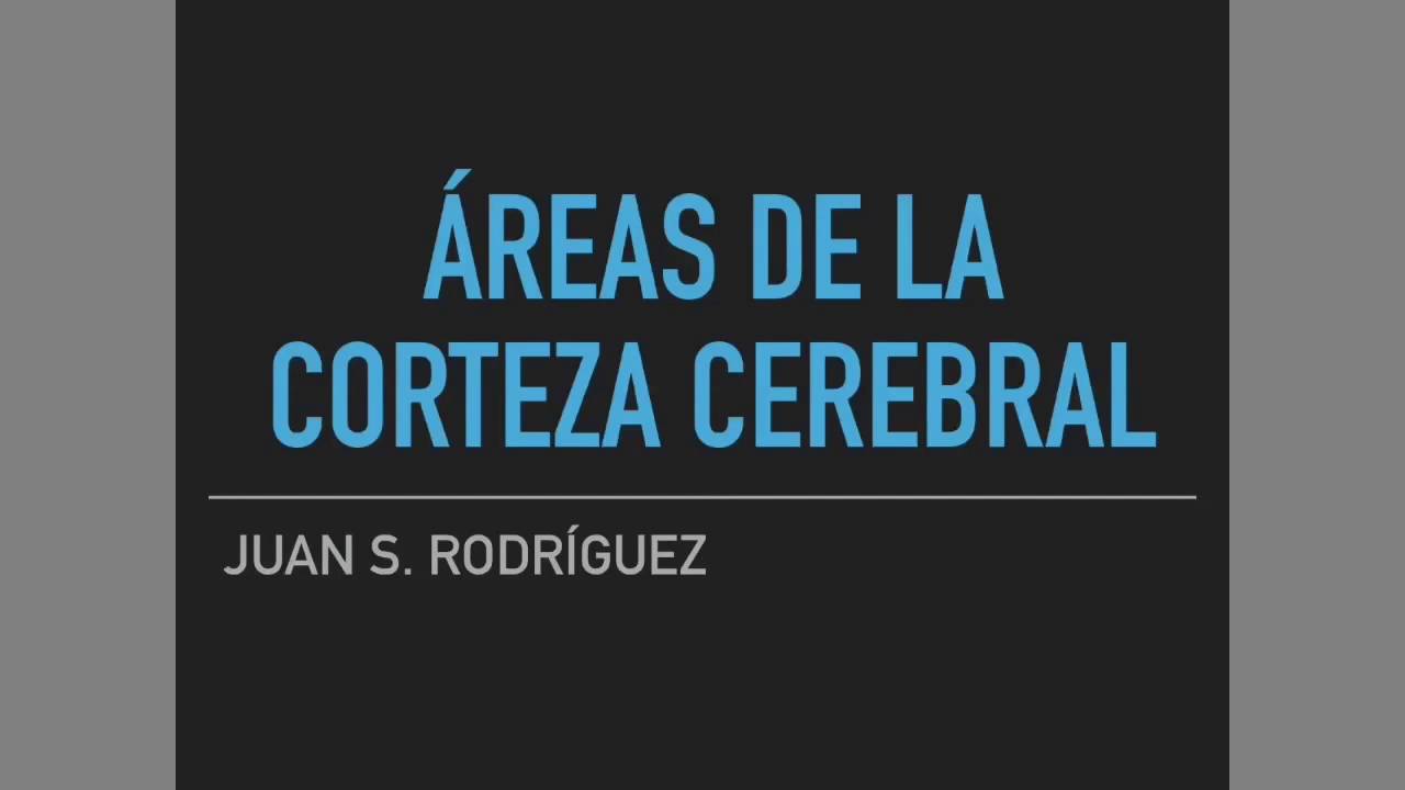 Corteza cerebral FÁCIL (áreas funcionales)