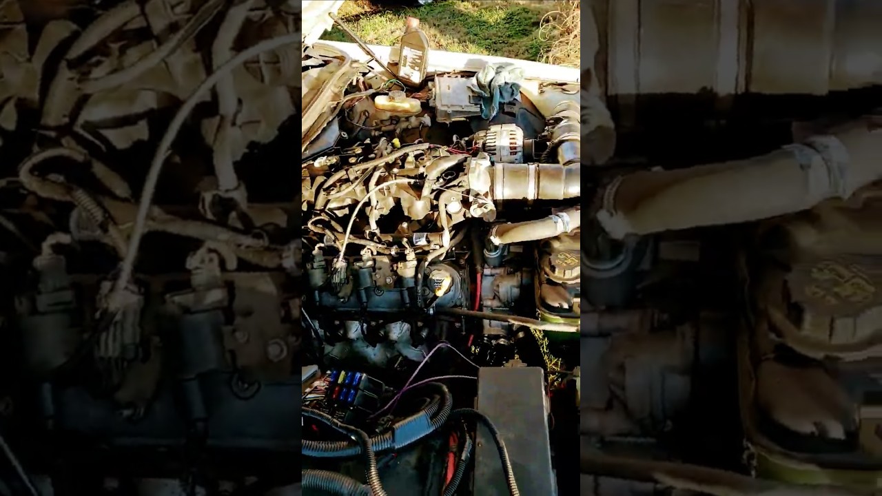 6.0 LS Swapped Crown Vic