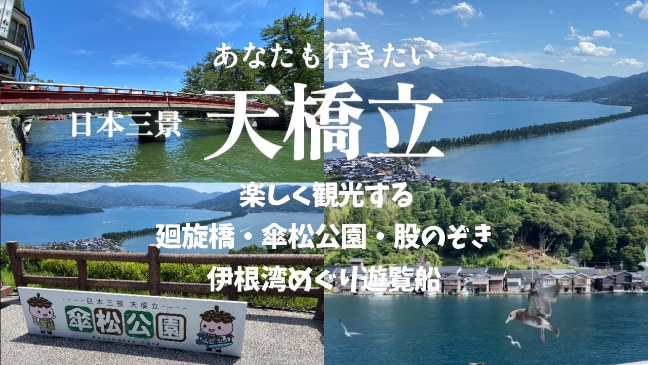 【日帰り旅行】アナタモイキタイ/天橋立/天橋立傘松公園/智恩寺/廻旋橋/伊根湾めぐり遊覧船