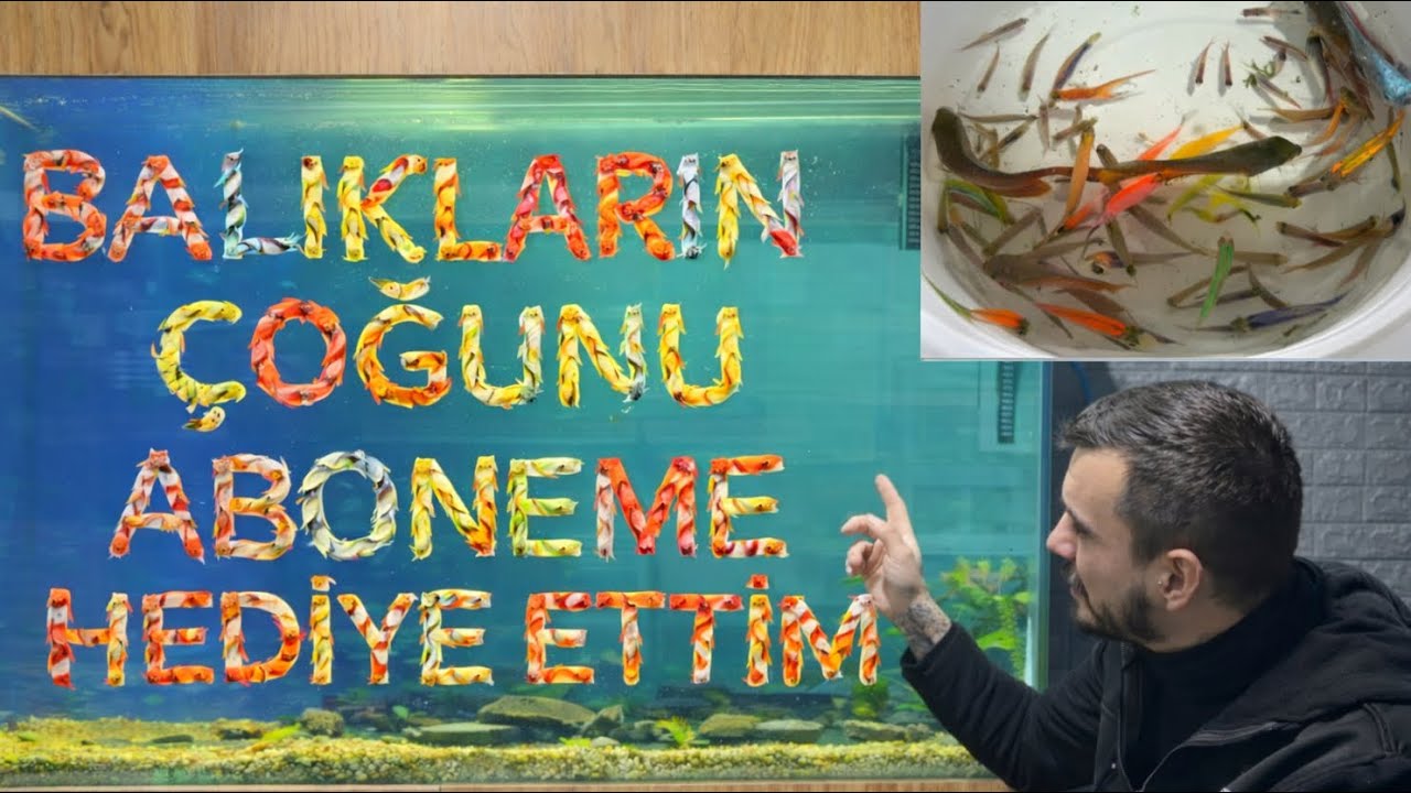 Akvaryumdaki 🐠 Balıklarımı 🐟Neden Azalttım? Gerçek Sebep 🐠