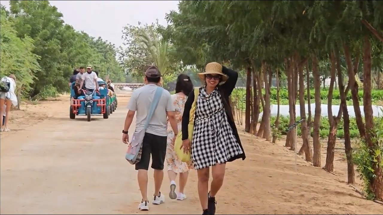 First Farm In UAE | Largest Farm | Organic #milovlogs