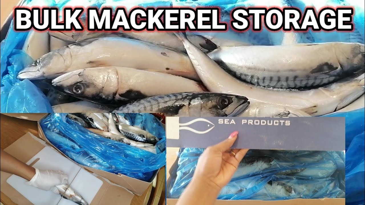 How I clean, cut, wash and store BULK MACKEREL FISH for longer usage
