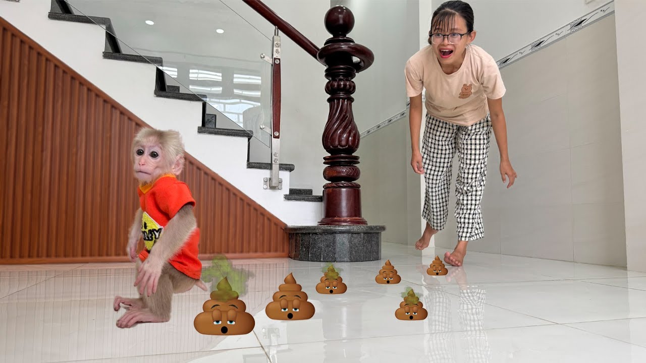 So Funny! Mischievous Lucky Poops All Over the House, Making Mom Furious