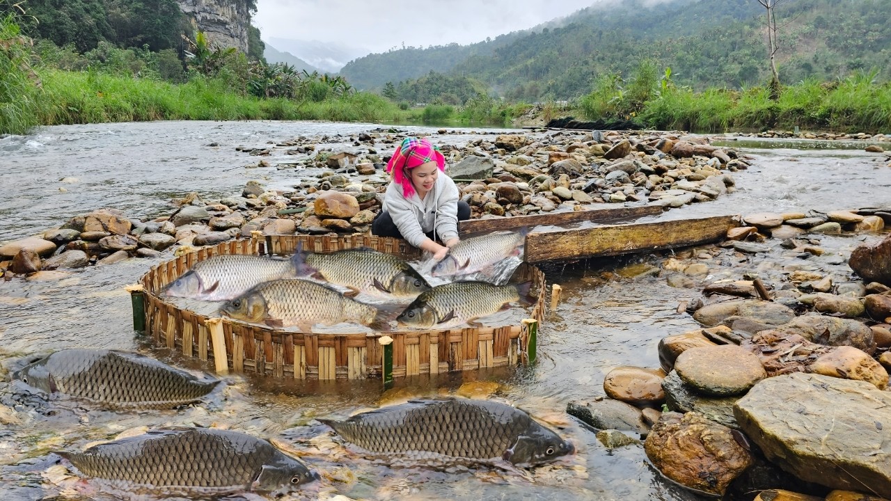 The girl fishing in the stream was lucky enough to catch nearly 10kg of carp.