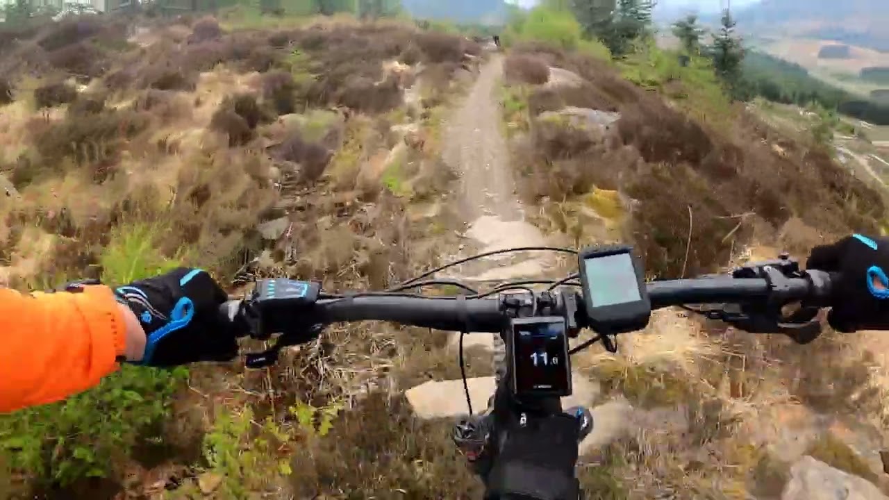 Laggan Wolftrax - BamBam into Sparerib Reds