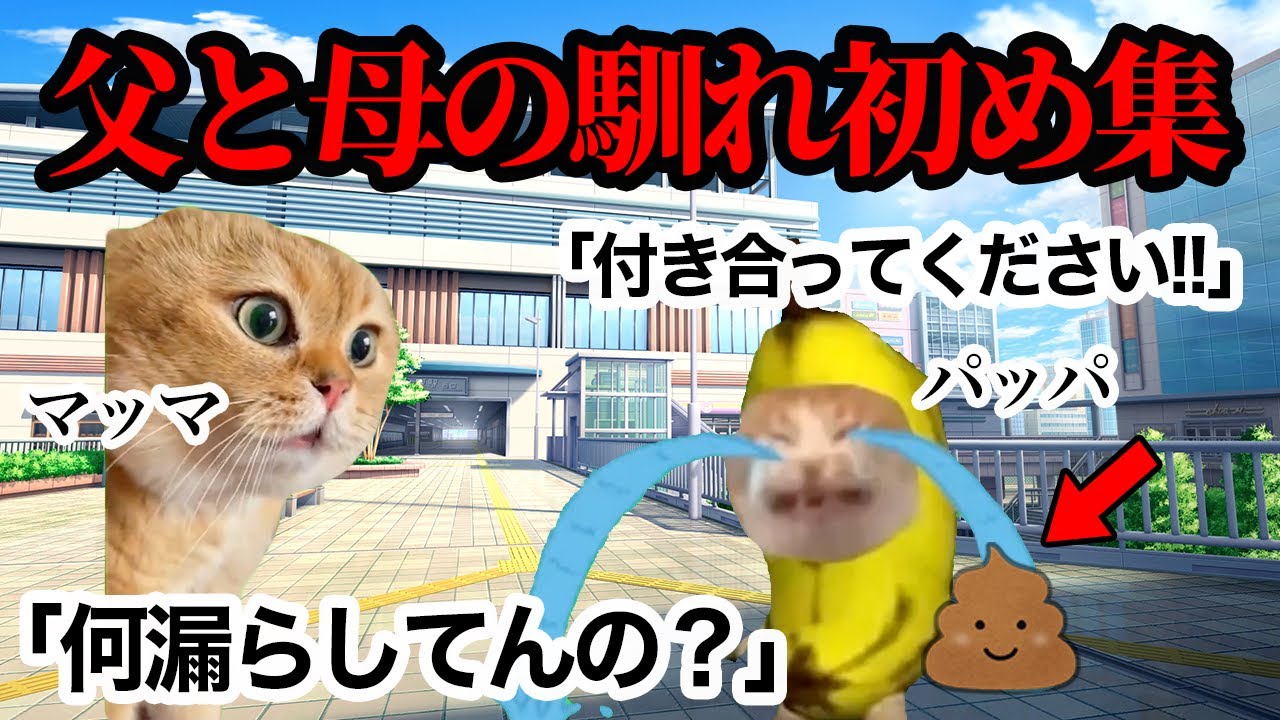 両親の衝撃すぎる出会いを振り返ってみたwww 【総編集】#猫ミーム #猫マニ