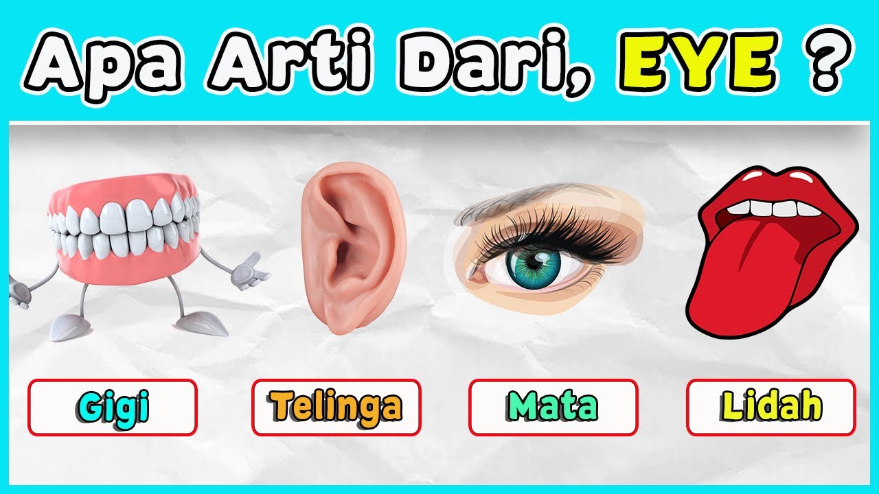 KUIS BELAJAR BAHASA INGGRIS | TEBAK NAMA ANGGOTA TUBUH DALAM BAHASA INGGRIS | CC190