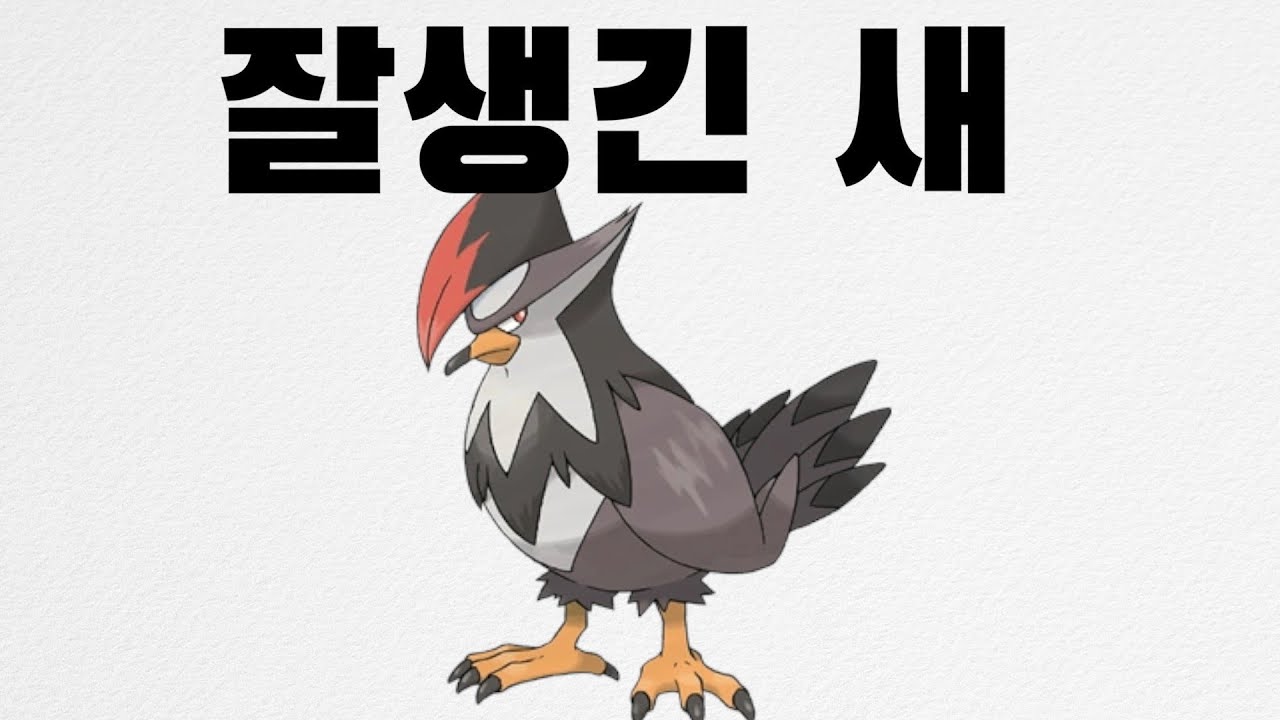 찌르호크