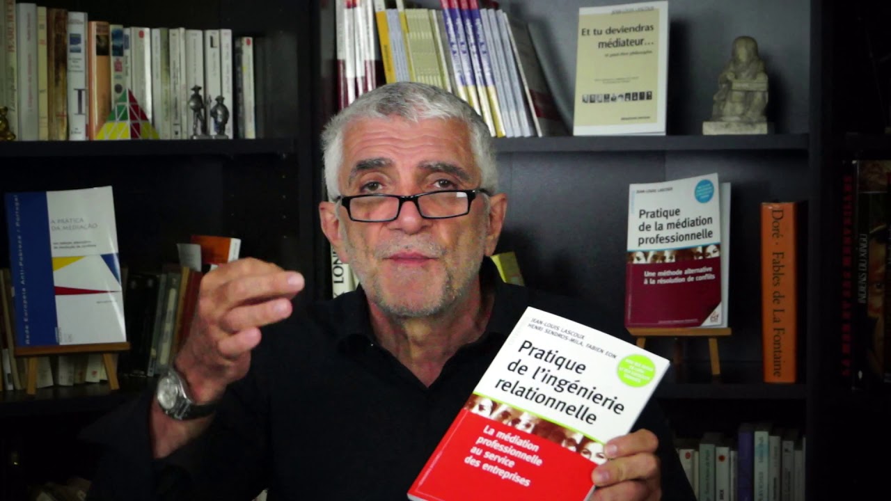 Livre Pratique de l'ing&eacute;nierie relationnelle, la m&eacute;diation professionnelle au service d entreprises