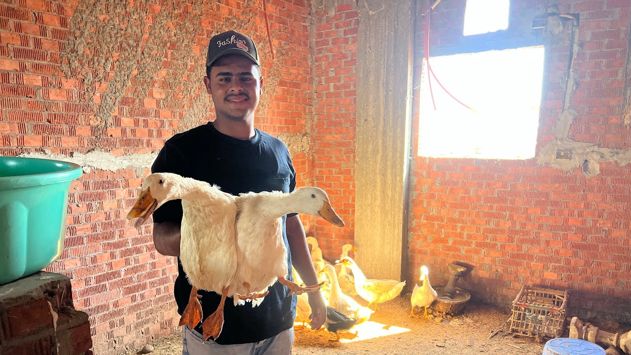 وأخيراً هخلص منه وارتاح من صوته🦆حلفت ميدخل بيتي تاني🤚ذبحت البط 🦆ونزلت عملت العيش التوست 🍞والبيتزا🍕