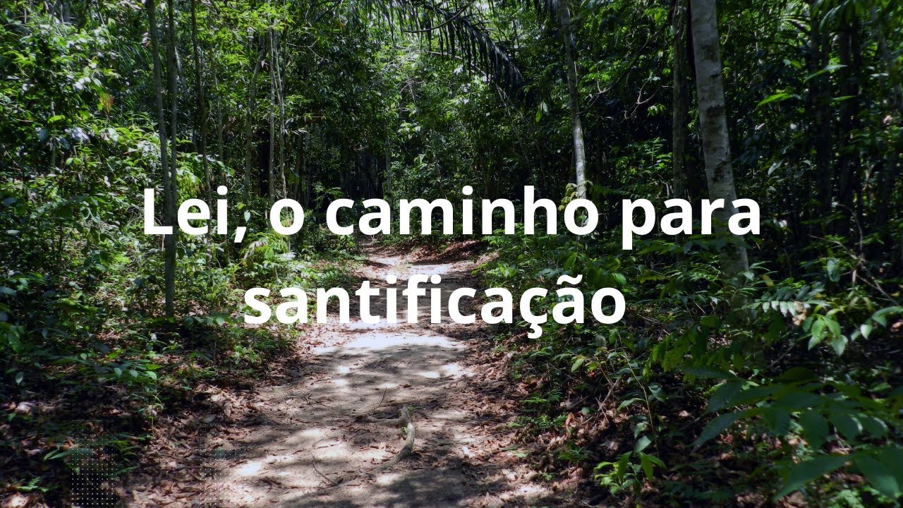 Lei, ela foi dada para salvação? 