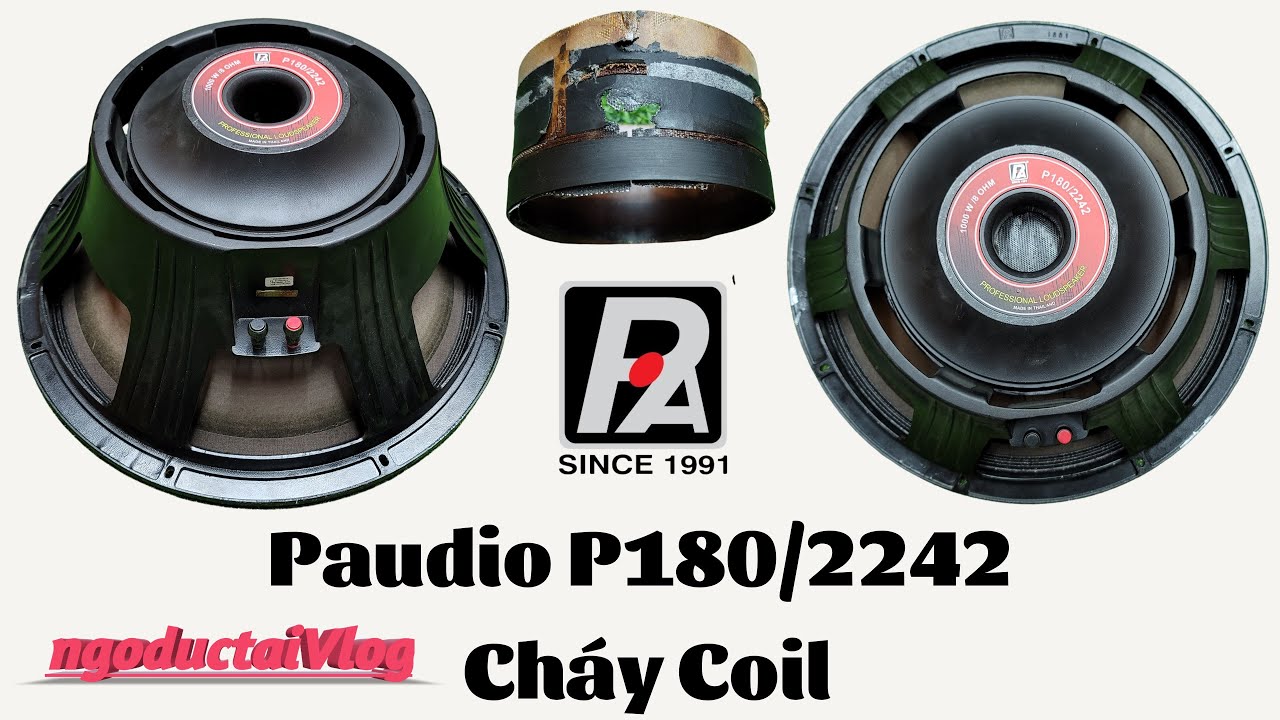 Cách Sửa Chữa Loa Sub 50 Paudio P180/2242 Cháy Coil 31/12/2022