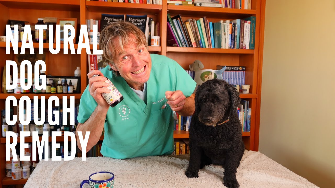 Stop Dog Coughing Fast With Natural OTC Cough Syrup