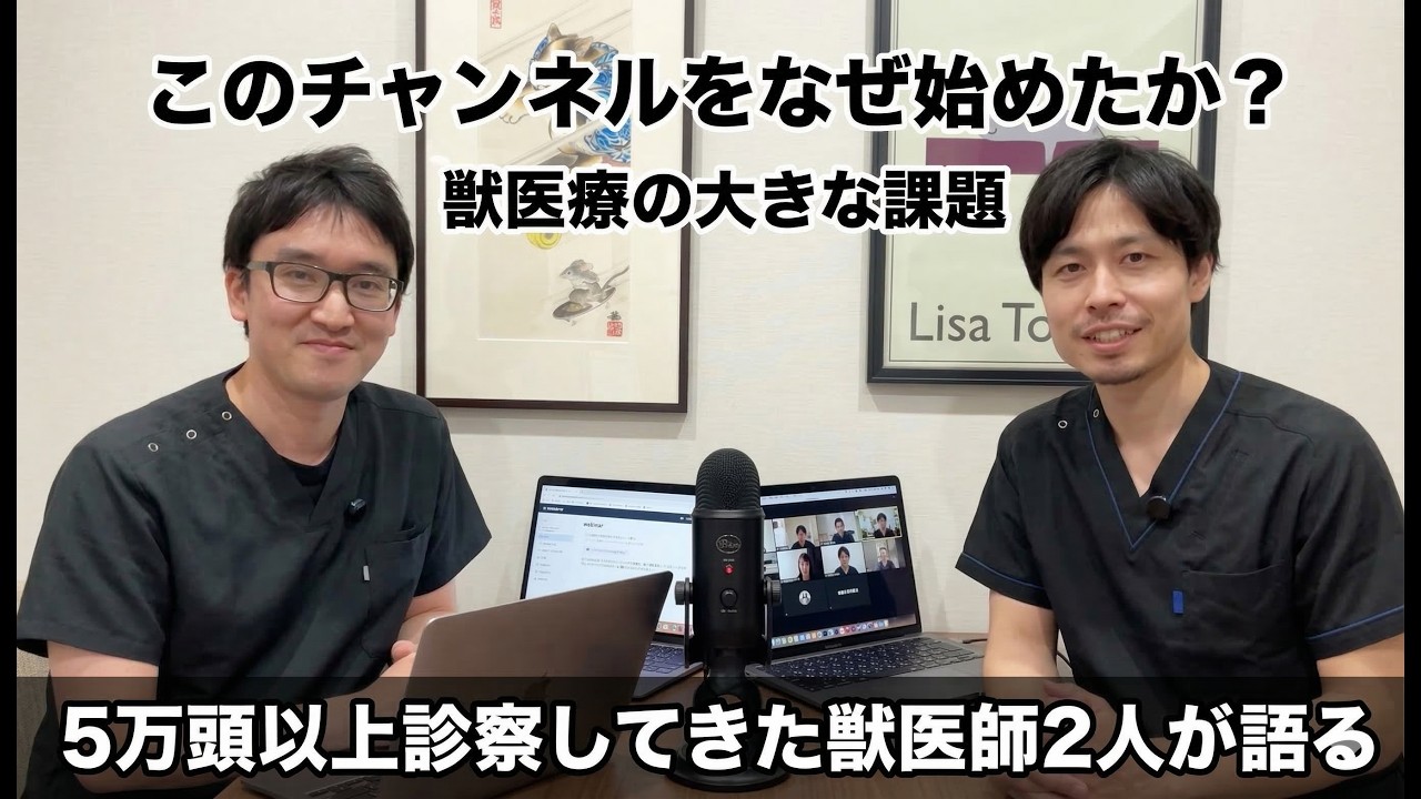 なぜ発信するのか？現役獣医師が語る、飼い主さんと一緒に動物医療をつくる思い
