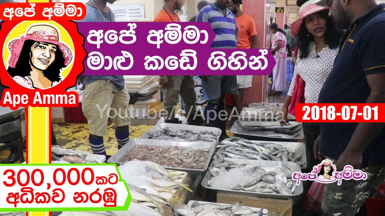 ✔ අපේ අම්මා පෑලියගොඩ මාළු කඩේ ගිහින් (English SUB) Paliyagoda Fish market visit by Apé Amma