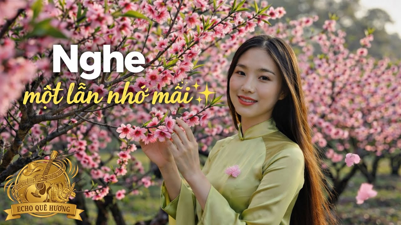 🎧 Bolero Tết Lạ | Mừng 3 tết nghe xuân chậm lại (Chill mê) 🎧 #55