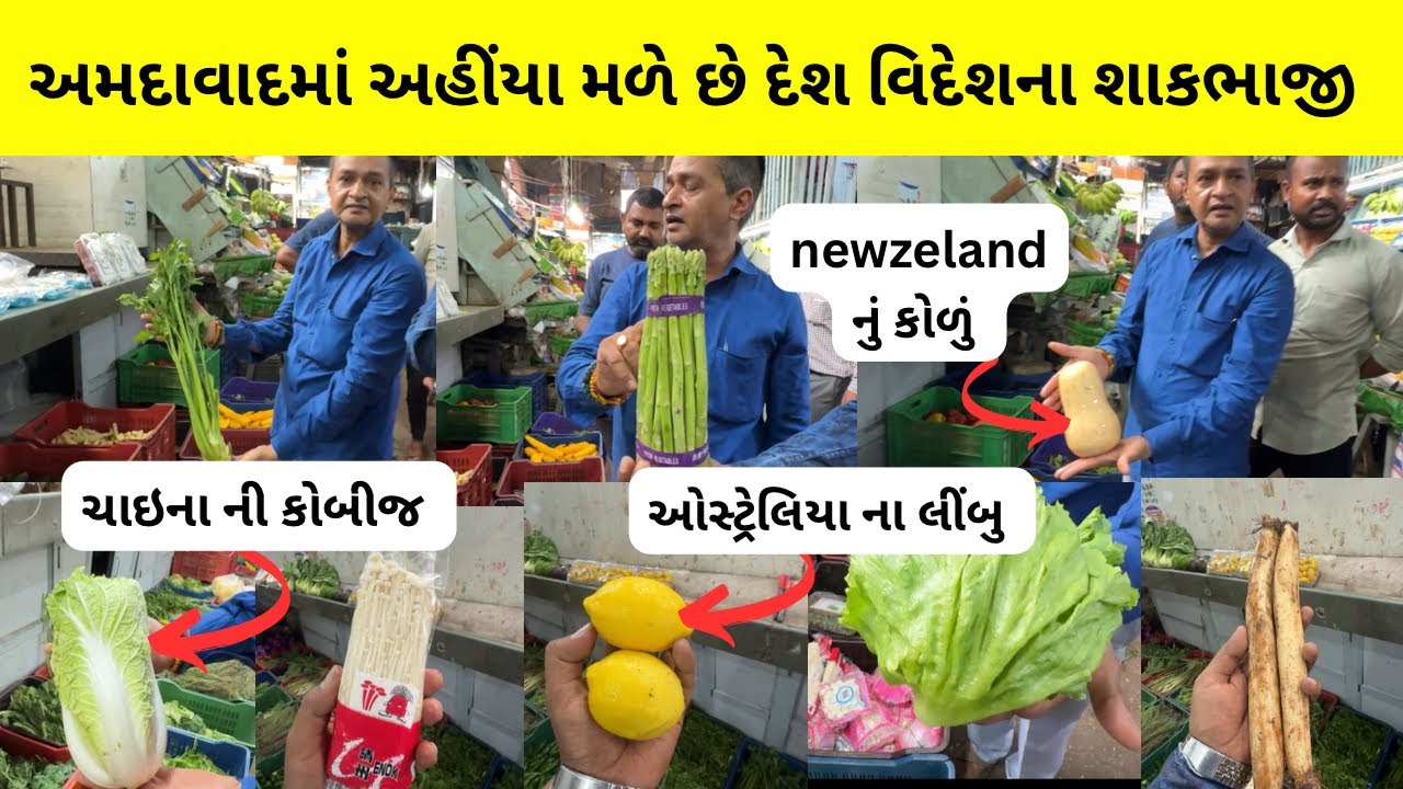 અમદાવાદના આ માર્કેટમાં દેશ-વિદેશની શાકભાજી , ફ્રૂટ્સ મળે છે | exotic vegetable market in ahmedabad
