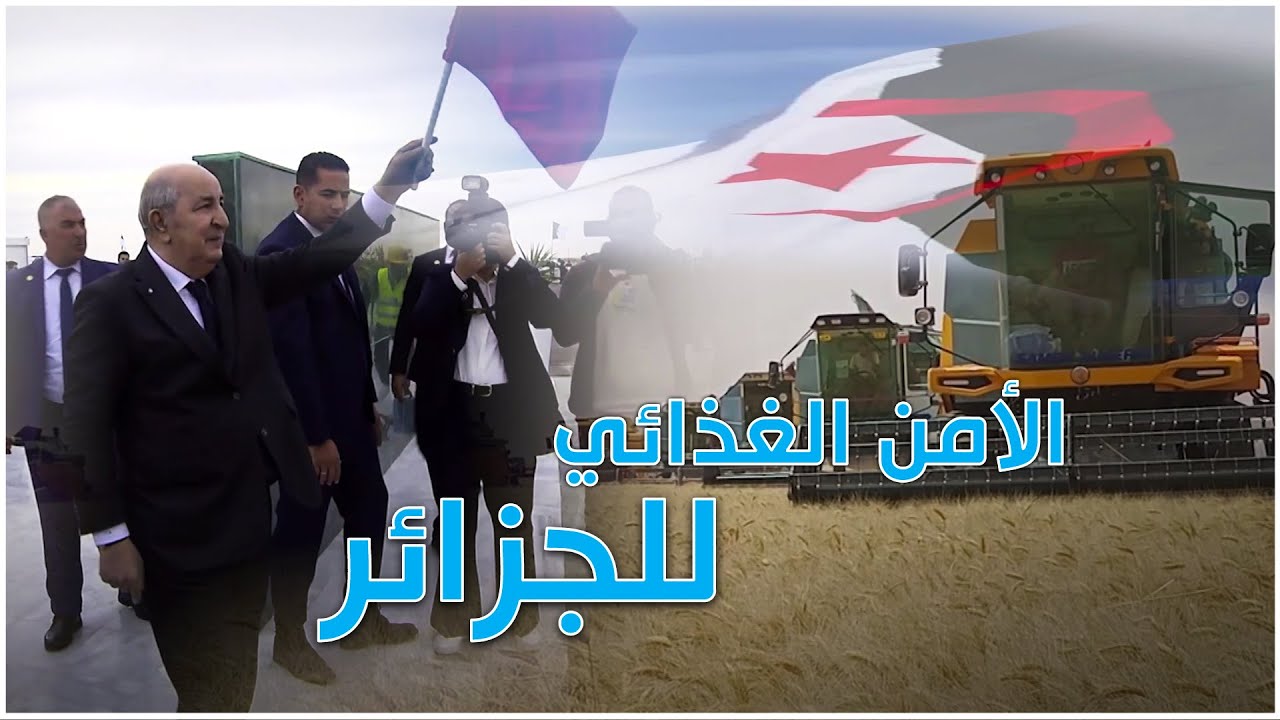 الجزائر الجديدة ..تشق طريقها لكسب تحدي الأمن الغذائي