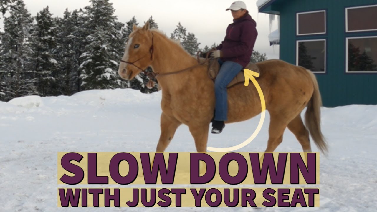 HOW TO SLOW DOWN A HORSE WITH YOUR SEAT