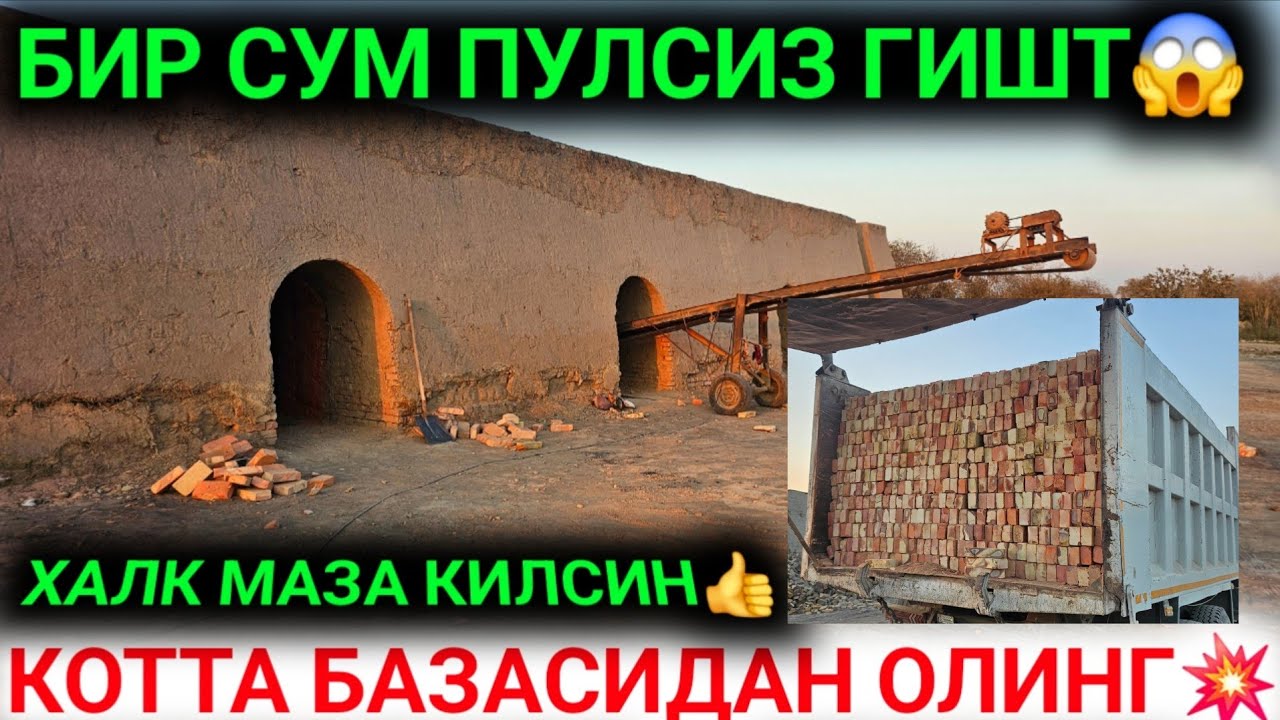 16-ОКТАБР 1 СУМ ПУЛСИЗ ГИШТ 12 ВИЛОЯТГА ХУШХАБАР ГИШТ НАРХЛАРИ 2025 PISHGAN GISHT QANCHA 2025