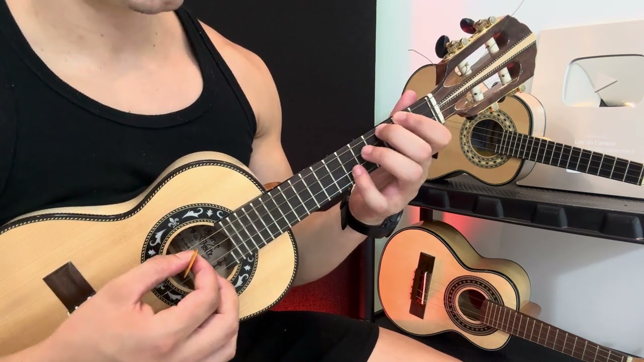 APRENDA DOMINAR AS NOTAS NO BRAÇO CAVAQUINHO E BANJO COM ESSA DICA - AULA DE CAVACO