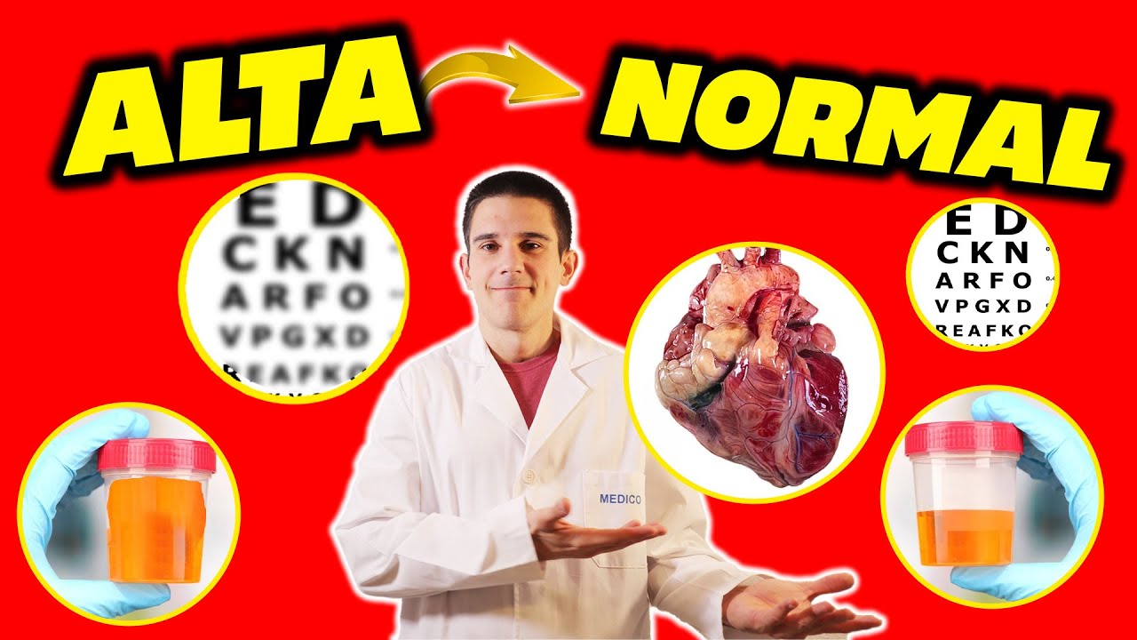 BAJAR el AZÚCAR en SANGRE: TODO LO QUE NO TE CONTARON