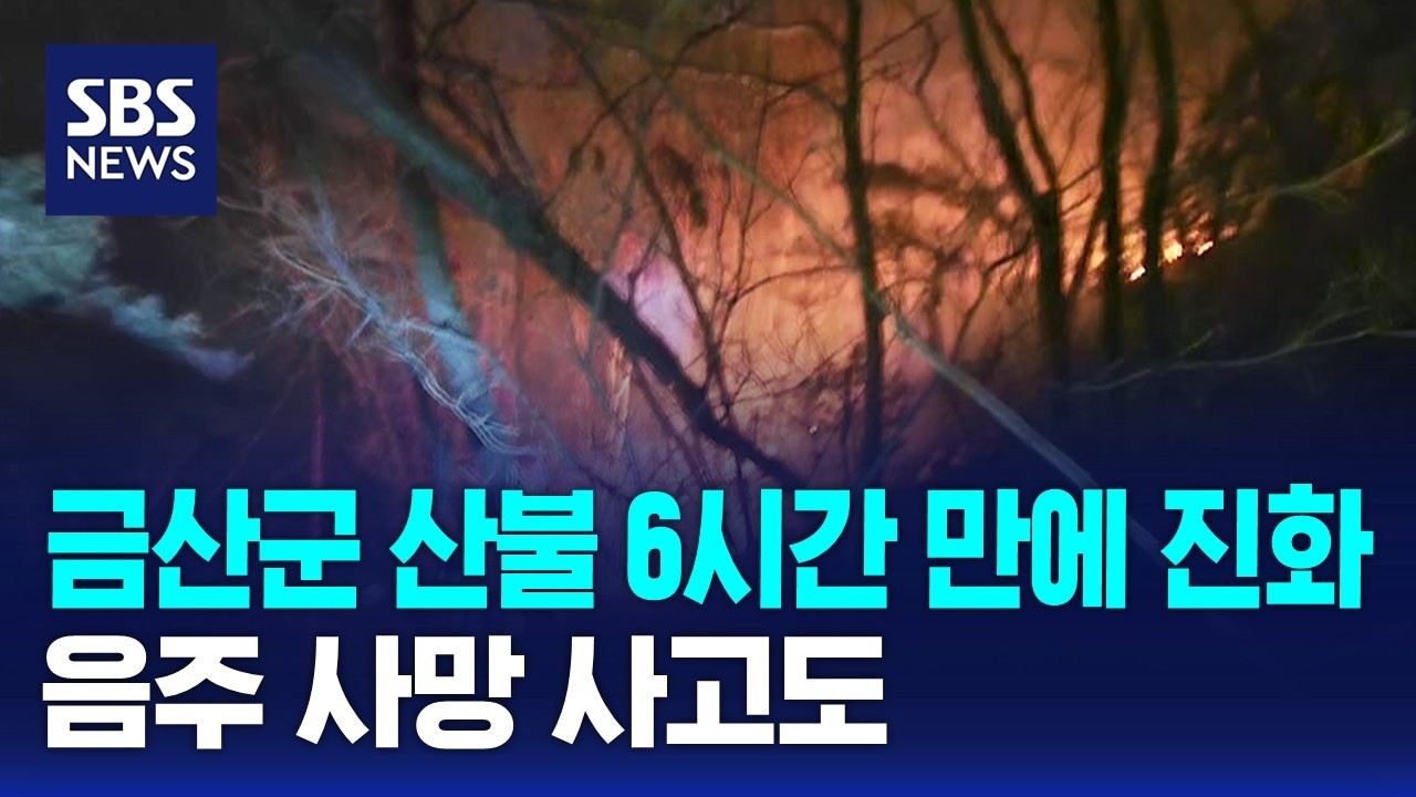 금산군 산불 6시간 만에 진화…음주 사망 사고도 / SBS