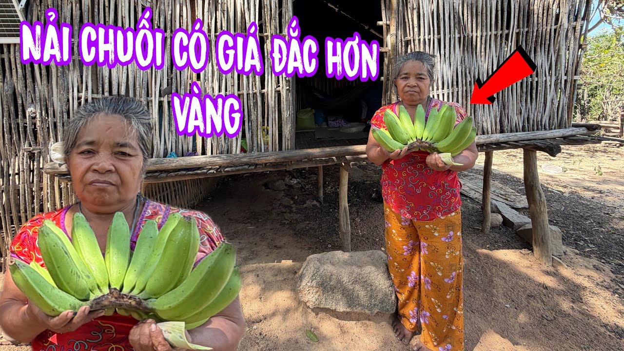Chấn động miền núi nải chuối  của bà cô vùng cao quý như vàng.