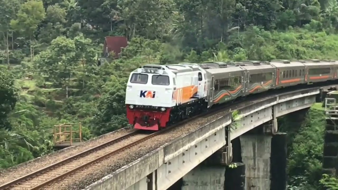 KERETA API PANJANG ‼️ MENEMUKAN 20 KERETA API NGEBUT DI TIKUNGAN