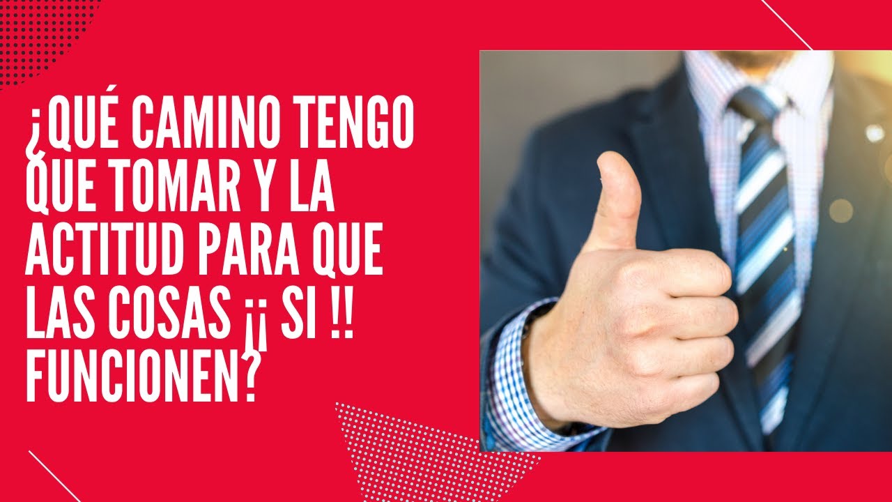 ¿Qué actitud tengo que tener para que las cosas ¡¡SI FUNCIONEN!! con una persona con filofobia?