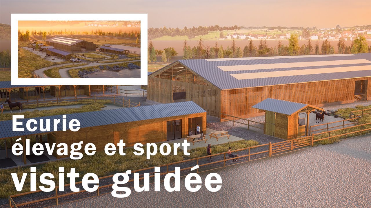 Visite guidée d'une écurie d'élevage et de sport
