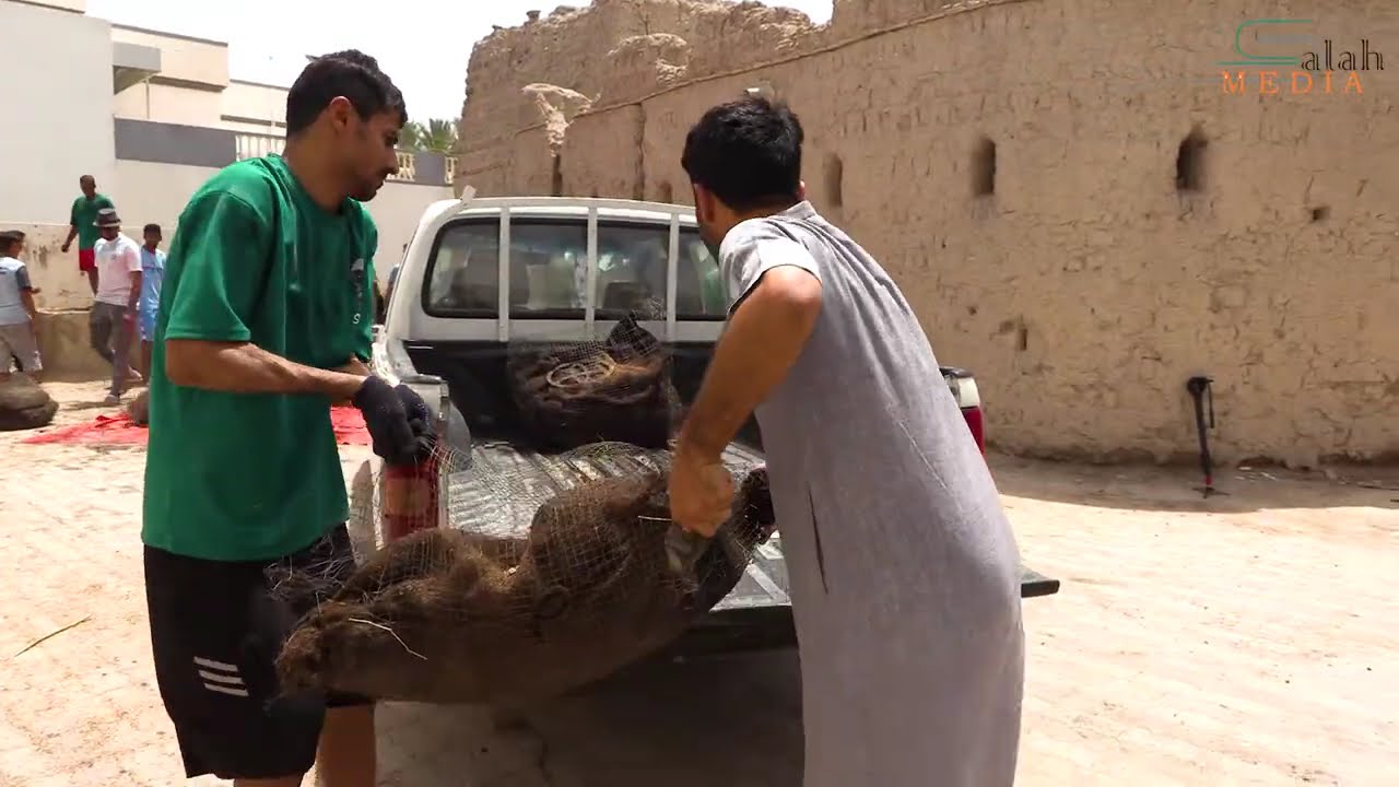 مظاهـر التنـور