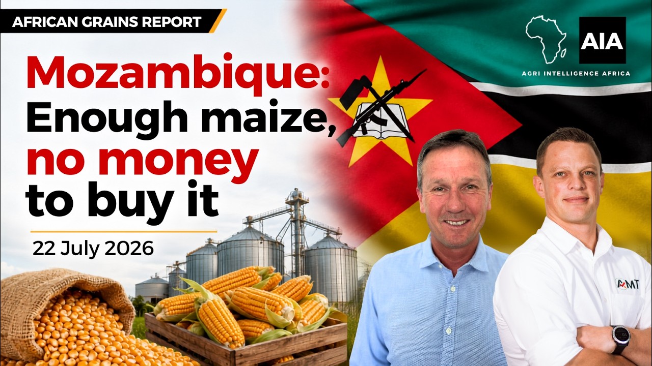 Mozambique: Enough maize, no money to buy it | African Grains &ndash; 22 Jul 2026